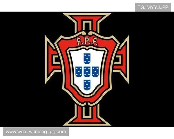 葡萄牙世界杯征程：从希望到挑战，球队风采与赛场表现全纪录